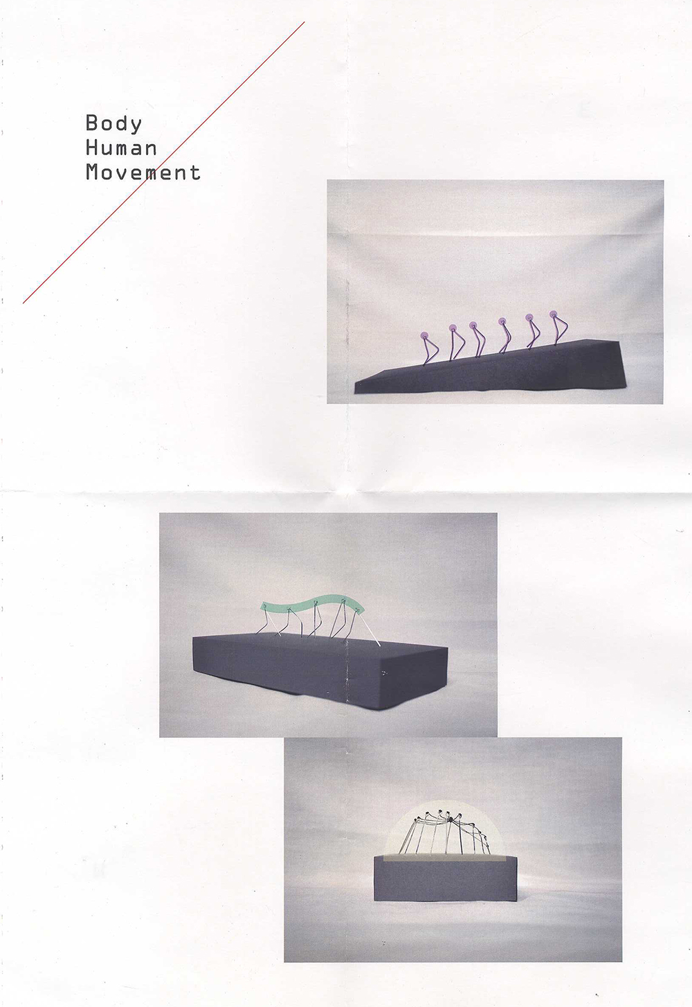 Human Movement